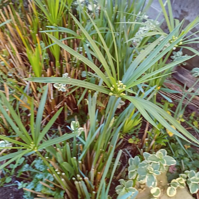 hiro.904さんの実例写真