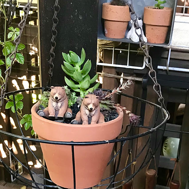 butachanさんの実例写真