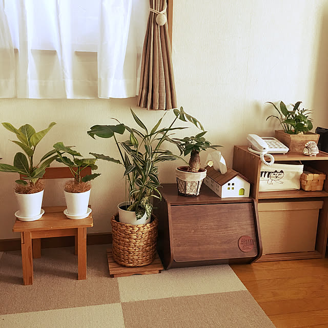 totomamaさんの実例写真