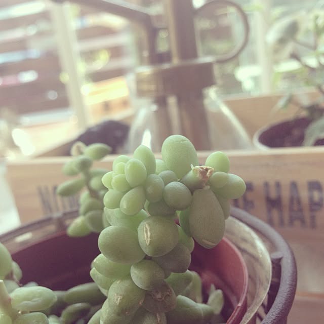 Nanaさんの実例写真