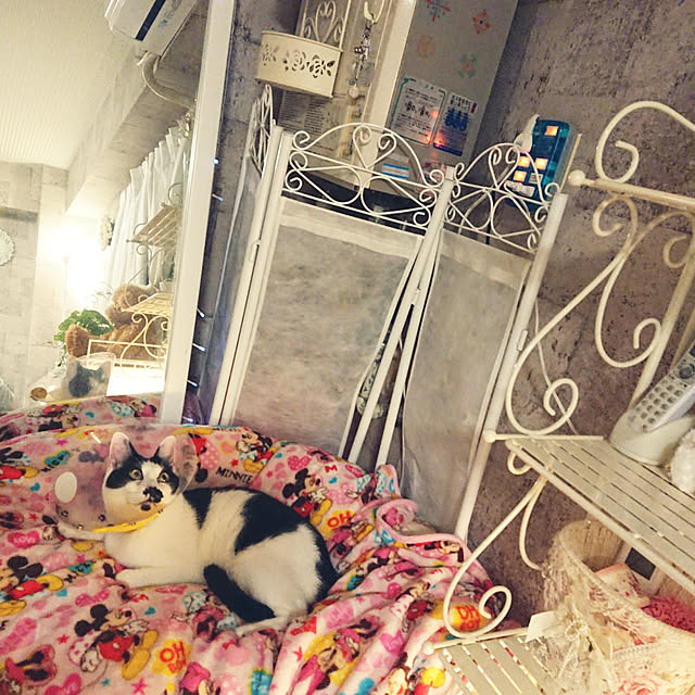 asuminさんの実例写真