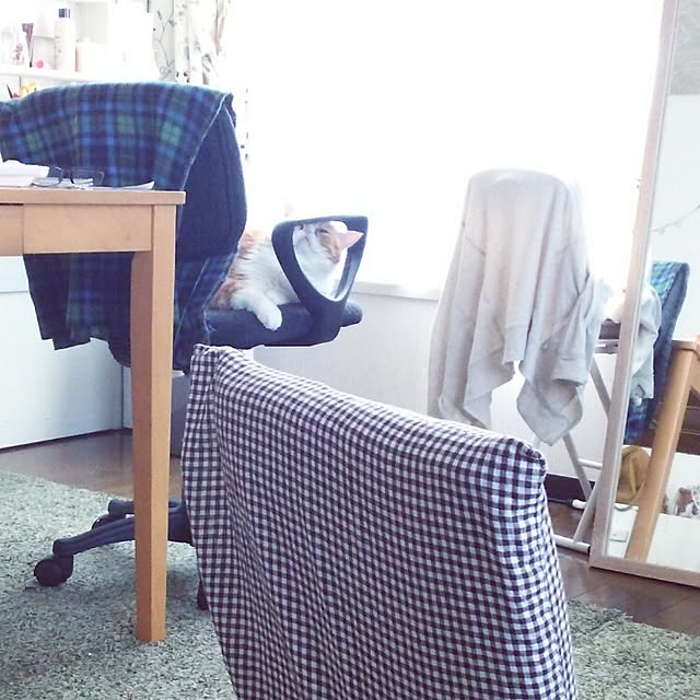 otoさんの実例写真