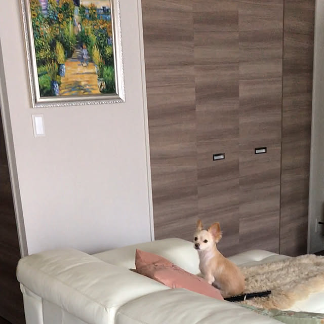 yuukoさんの実例写真