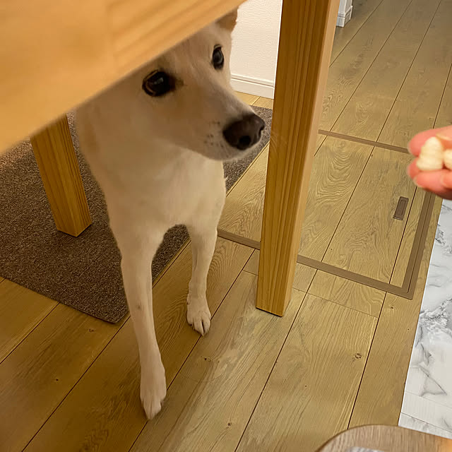 tanboさんの部屋