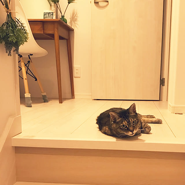 minminさんの実例写真