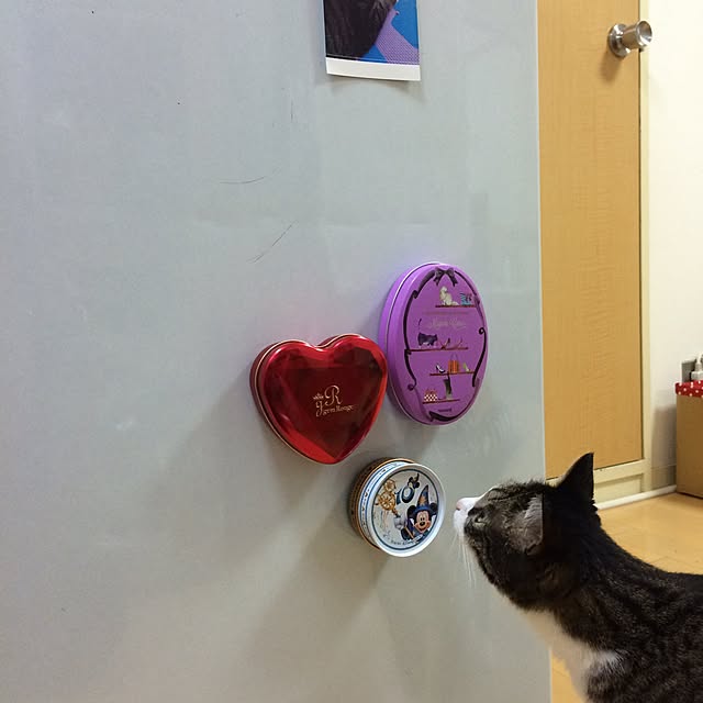 mameさんの実例写真