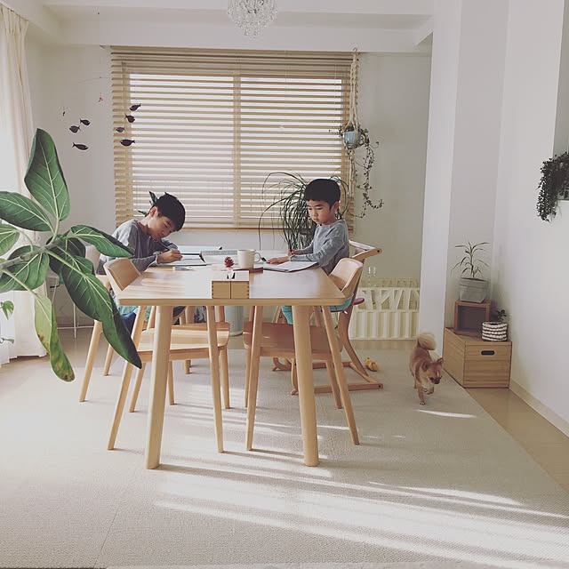 haruhinaさんの実例写真