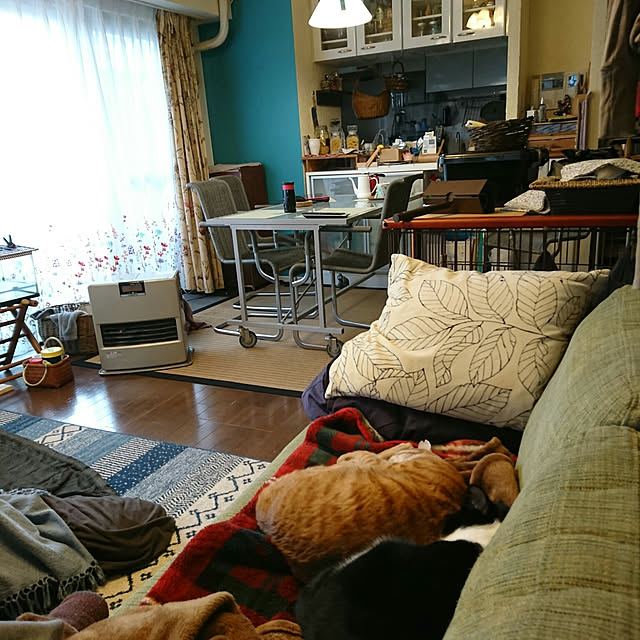 okyosan101さんの実例写真