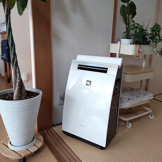 akipopoさんの実例写真