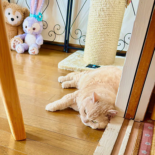 naokoさんの部屋