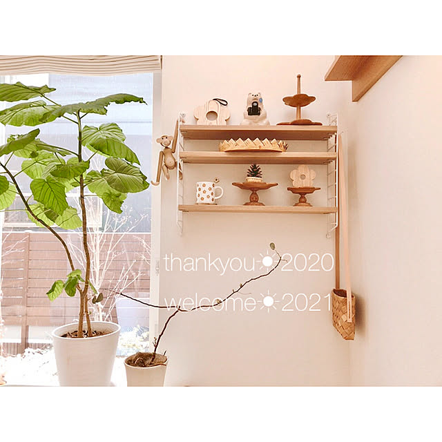 eriさんの実例写真