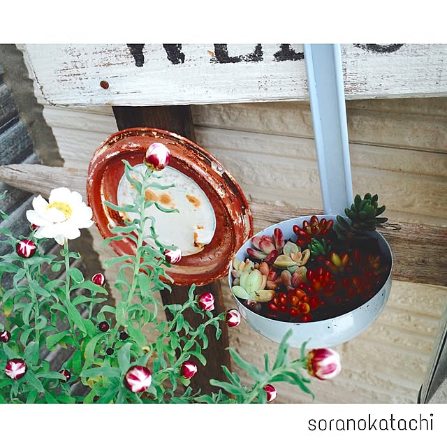 soranokatachiさんの実例写真