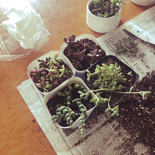 uchidaizuさんの実例写真