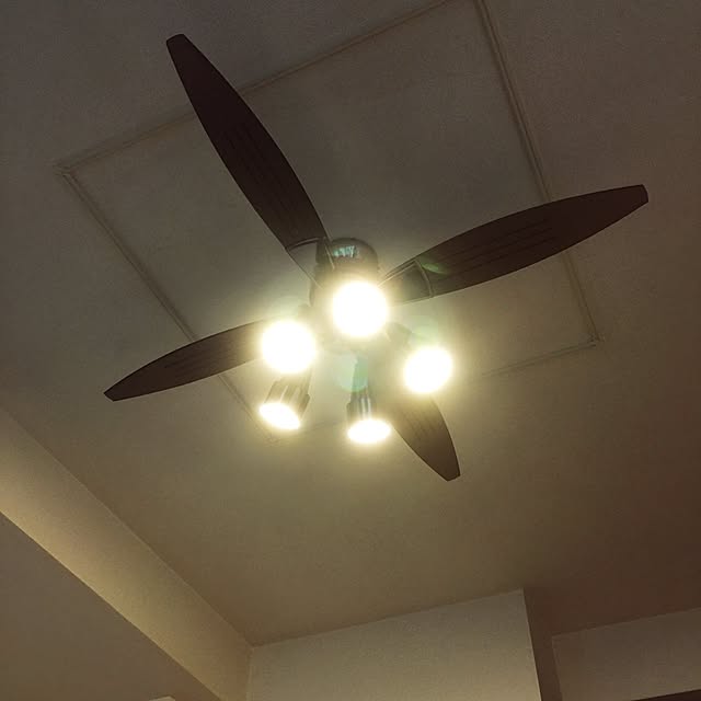 HocoriAllergieさんの実例写真