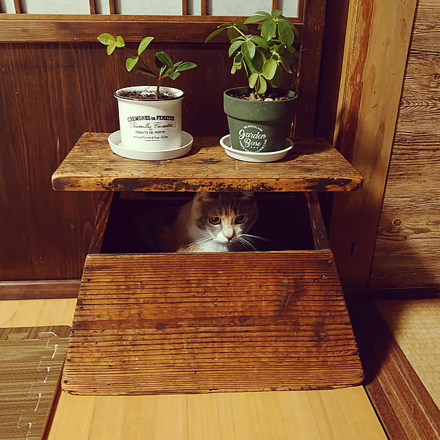 fukuさんの実例写真