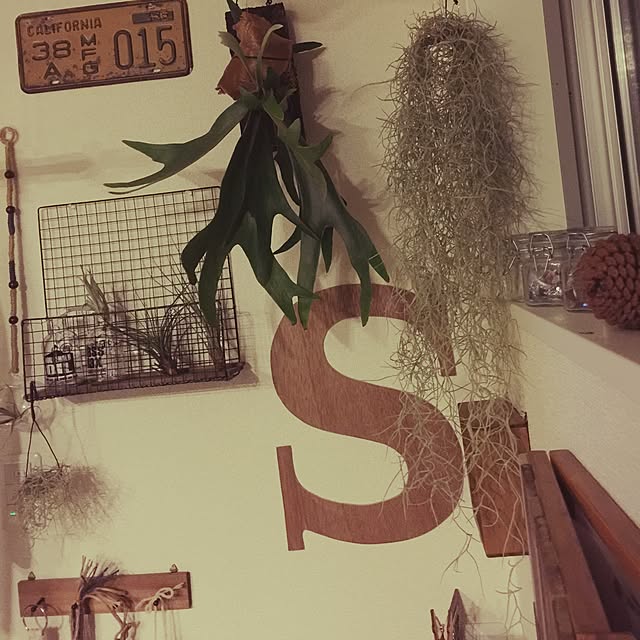 sykさんの実例写真