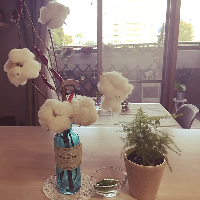 arinkoさんの実例写真