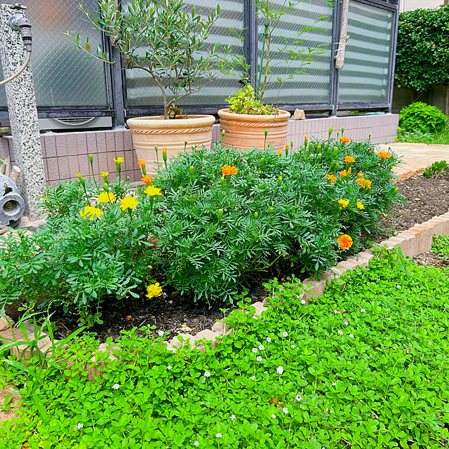 111さんの実例写真