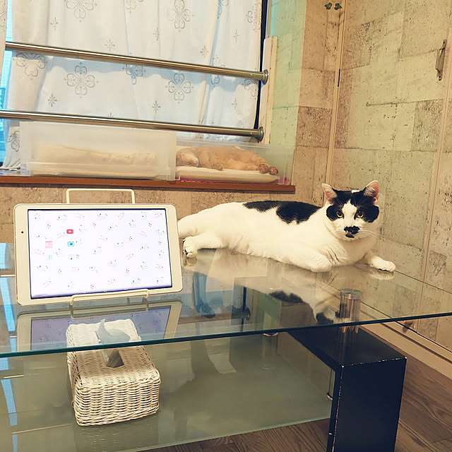 asuminさんの実例写真