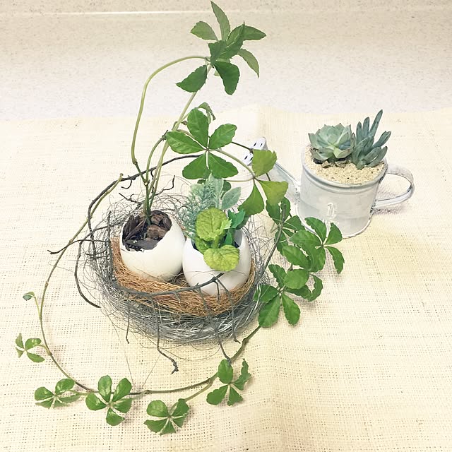 momonaさんの実例写真