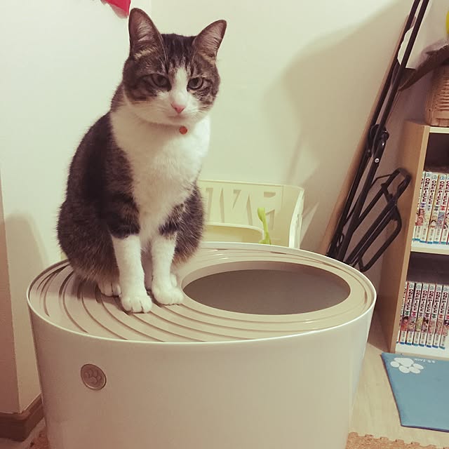 miruさんの実例写真