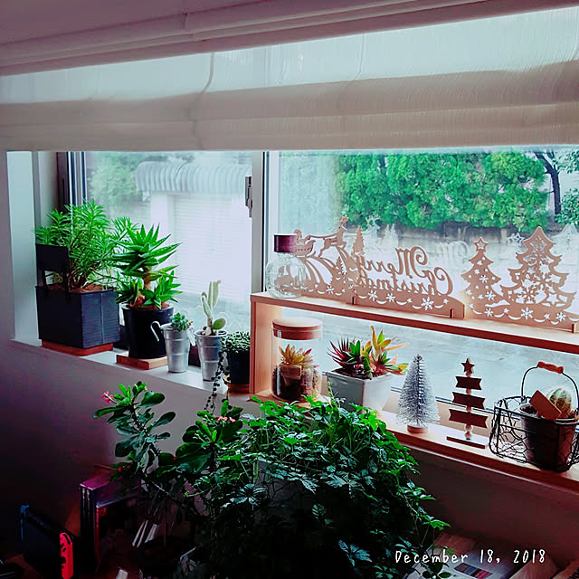 masarinn.さんの実例写真