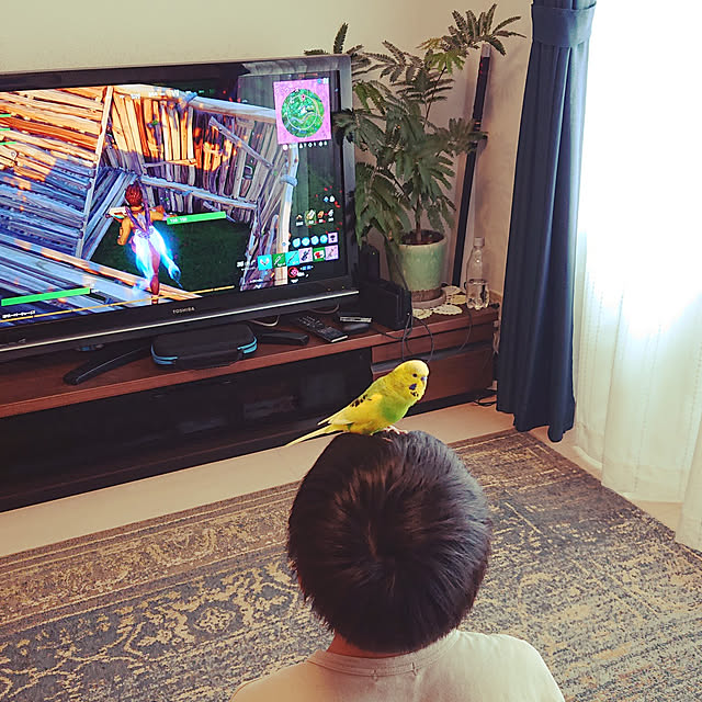 kyonさんの実例写真