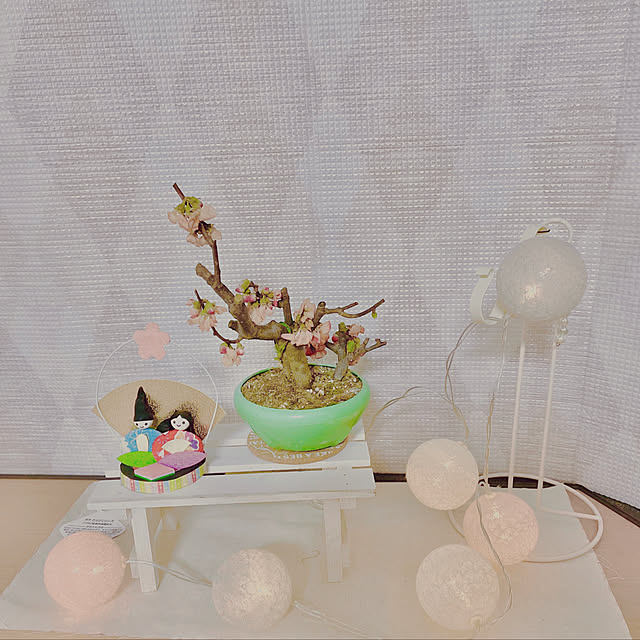 ダイソー/雑貨/100均/DIY/セリア...などのインテリア実例 - 2023-02-15 12:25:38
