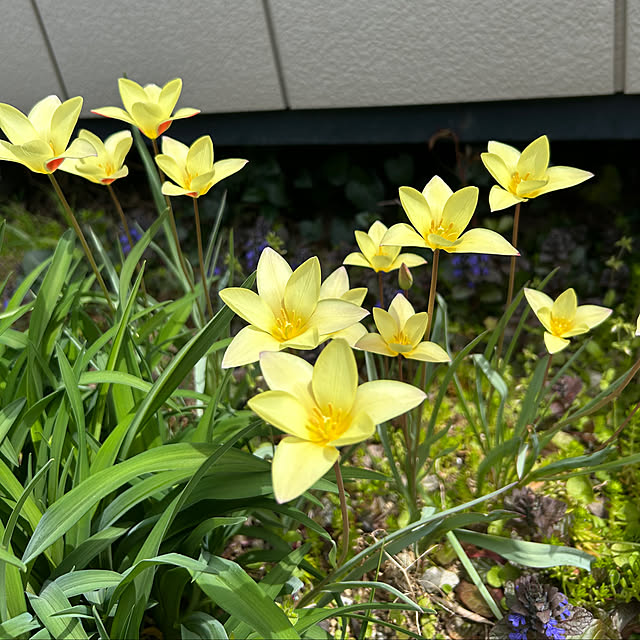 Fumiさんの部屋