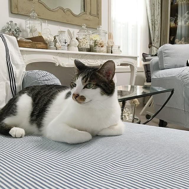yuchiさんの実例写真