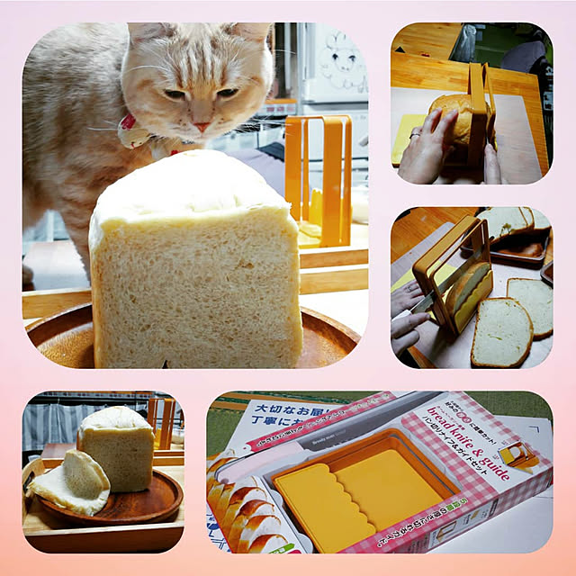 mntcさんの実例写真