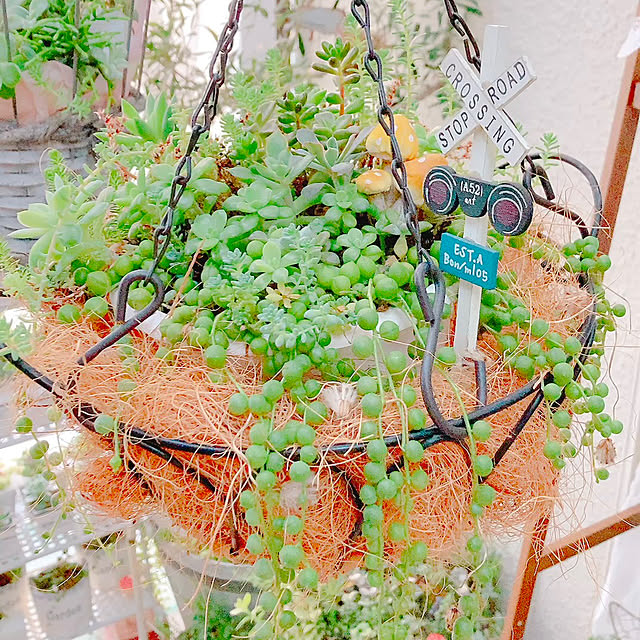 Hanakaさんの部屋