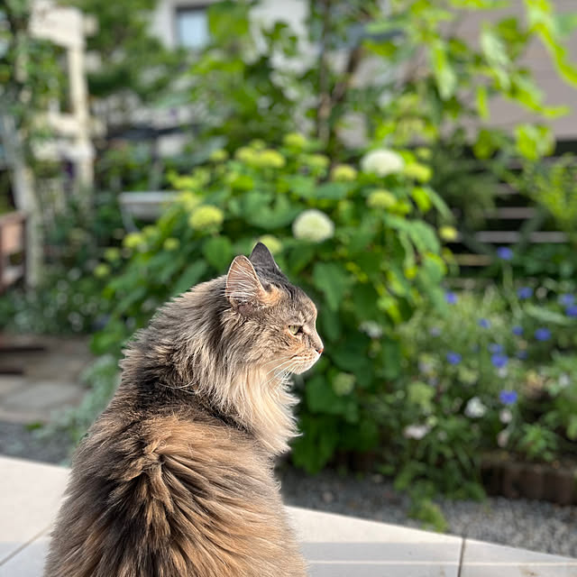 mayumiさんの部屋