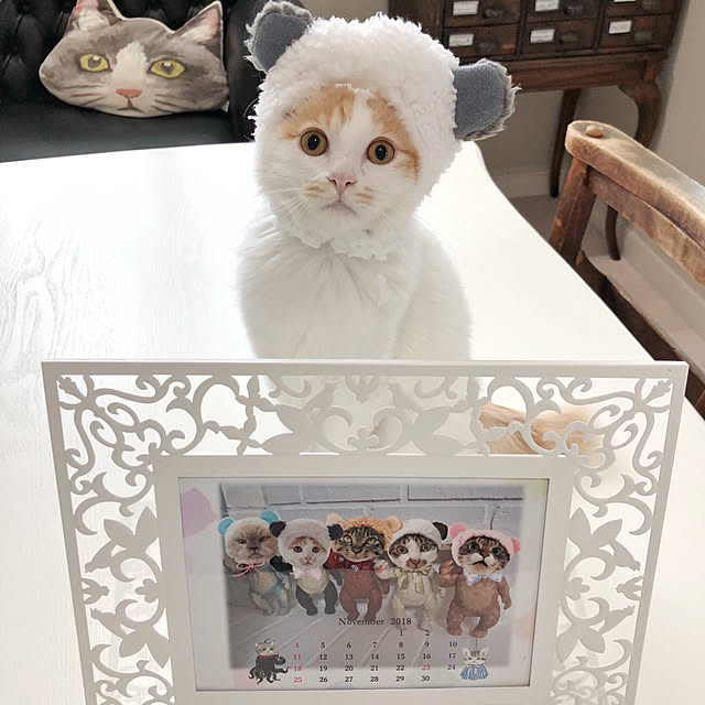 yuchiさんの実例写真