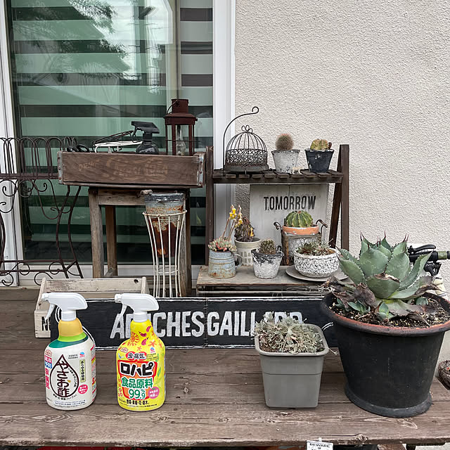 yupponさんの実例写真