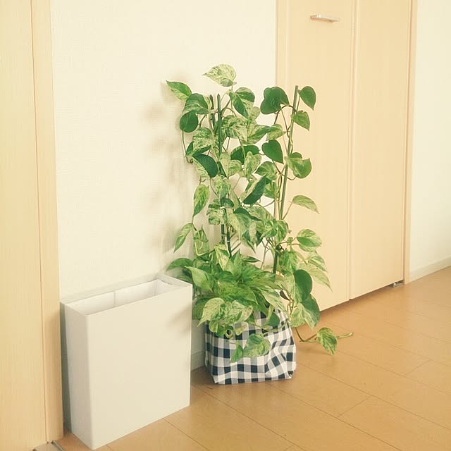 Shuconbuさんの部屋