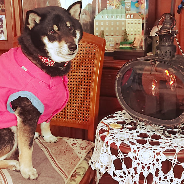 tsutawarimasuさんの実例写真