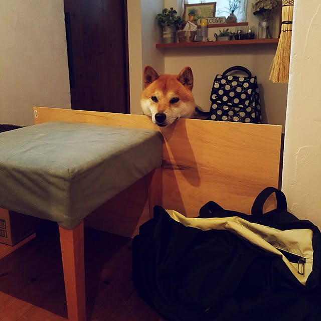 kosaさんの実例写真