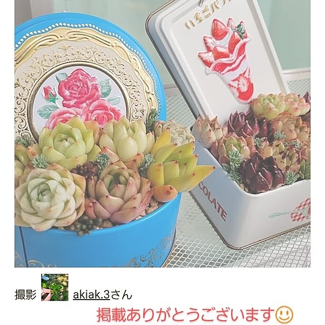 akiak.3さんの実例写真