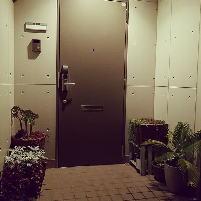 YUYUさんの実例写真