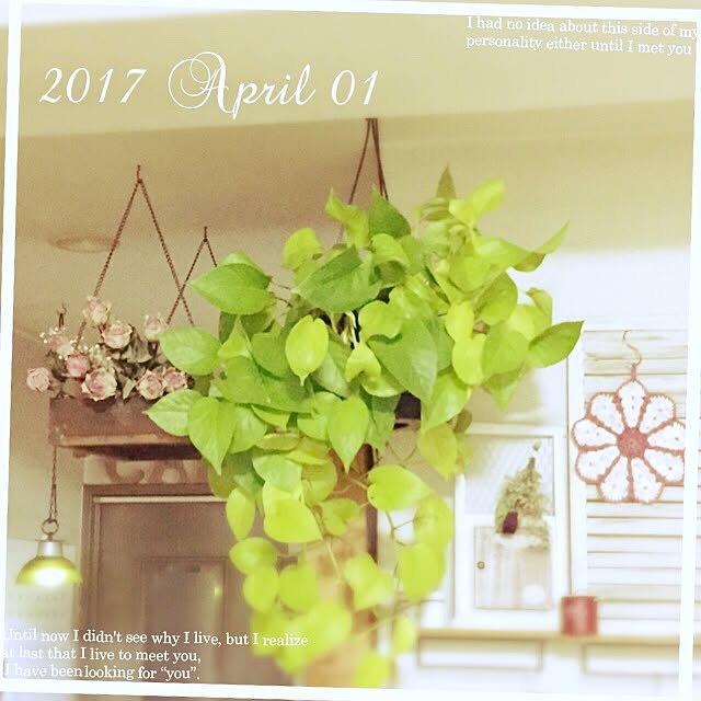 mockさんの実例写真