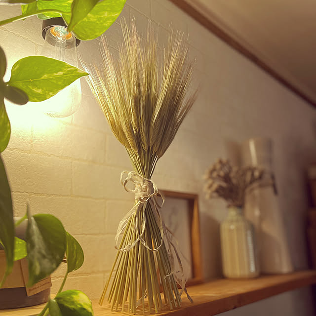 nikoさんの部屋