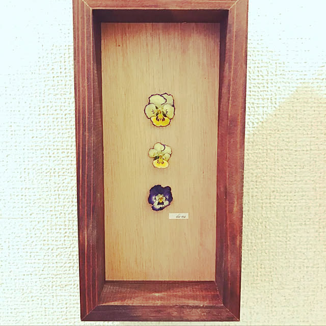 mikisukeさんの実例写真