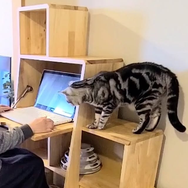 lovepeaceさんの部屋