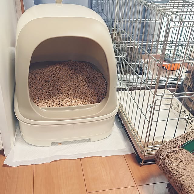 noguriさんの実例写真