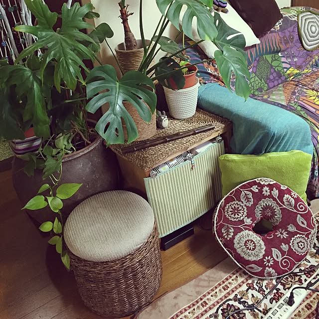 Norikoさんの実例写真