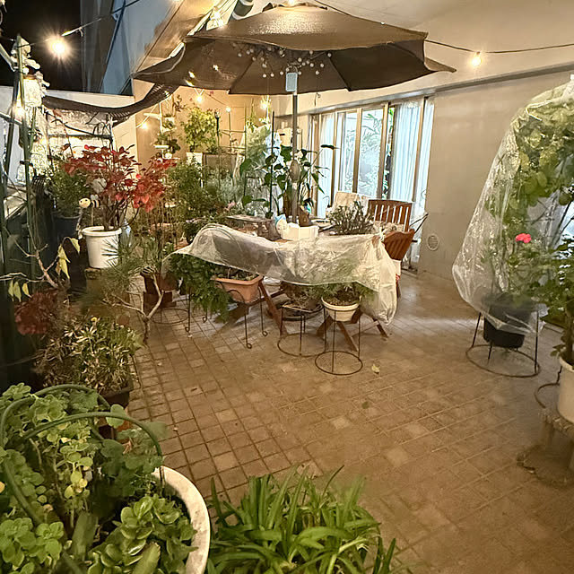 Aqettyさんの部屋