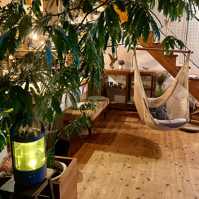 green.green.greenさんの部屋