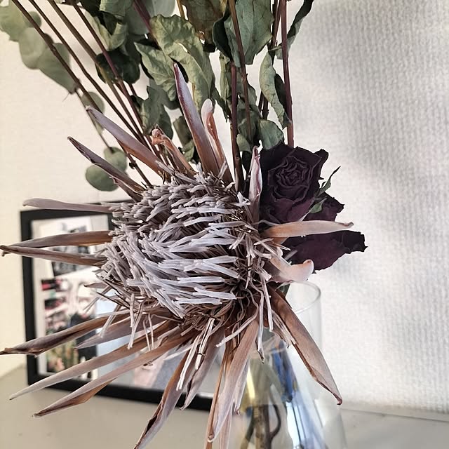 aoiroさんの実例写真