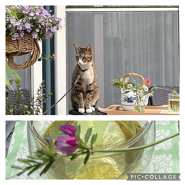 nobikoさんの実例写真